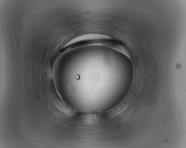 X0000091330384200708171356