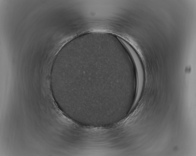 X0000091330385200708171355