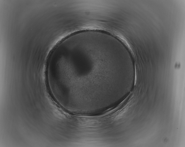 X0000091330387200708171355