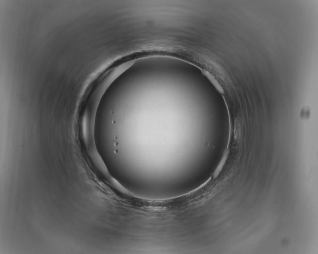 X0000091330388200708171355