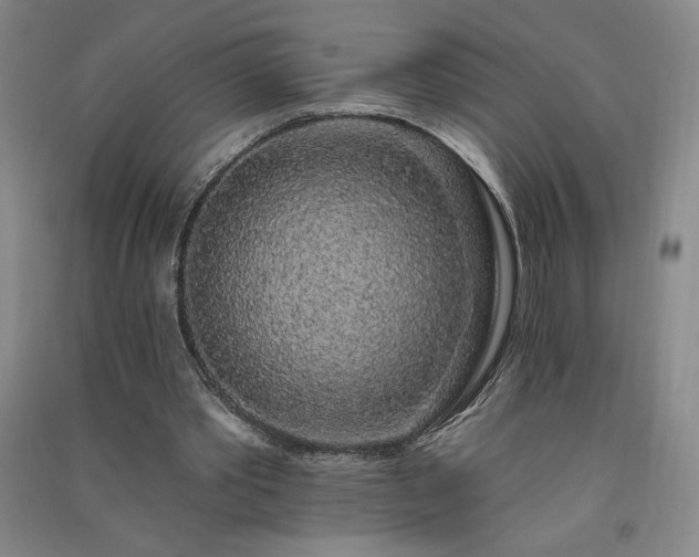 X0000091330389200708171355