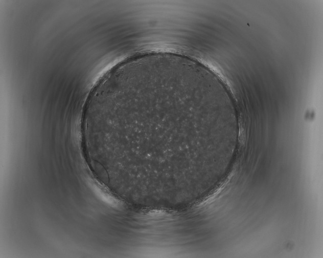 X0000091330390200708171355