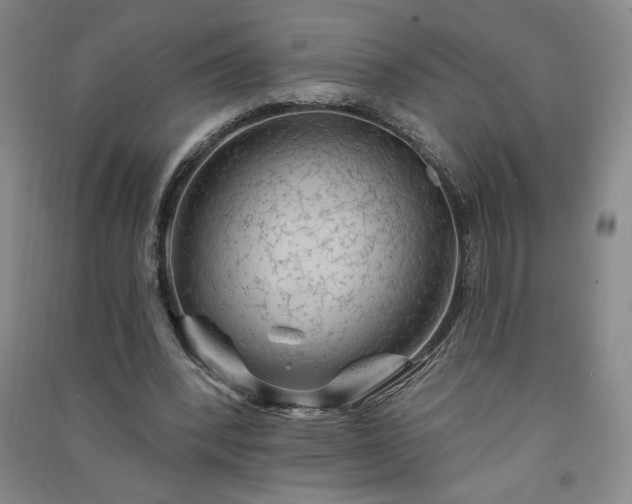 X0000091330392200708171355