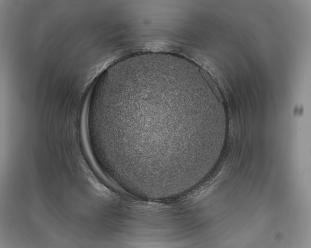 X0000091330393200708171355