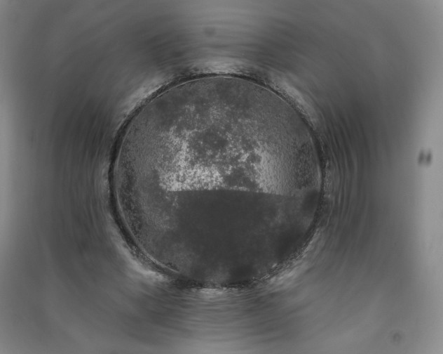 X0000091330394200708171355