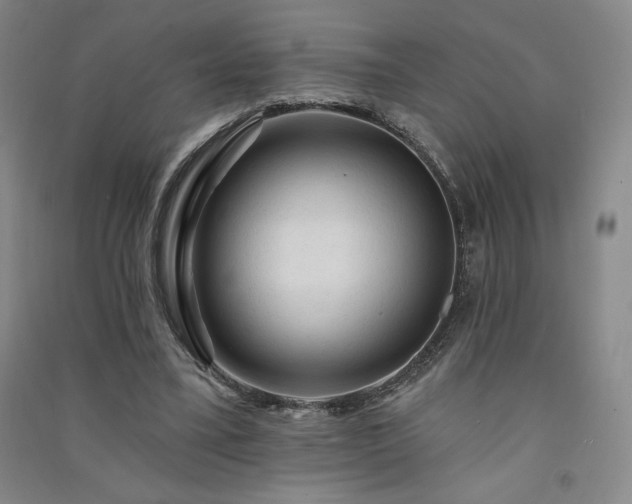 X0000091330395200708171355