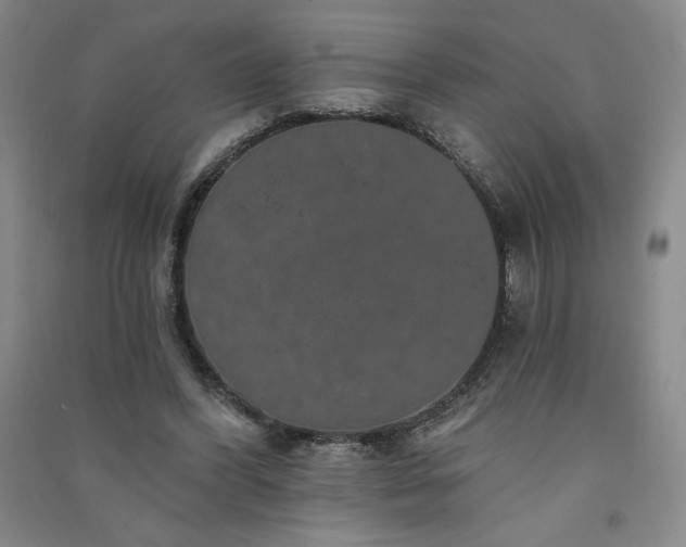 X0000091330396200708171355