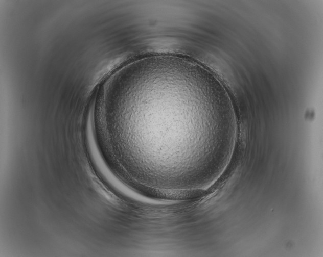 X0000091330397200708171355