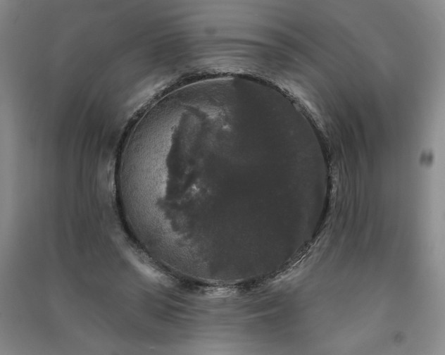 X0000091330398200708171355