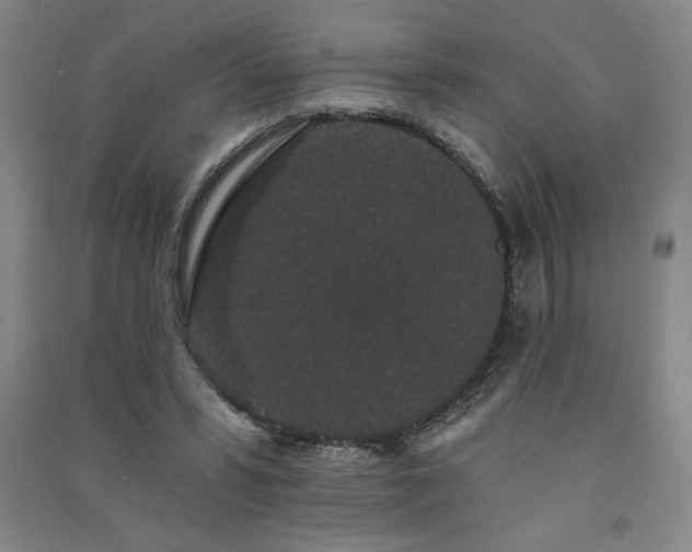 X0000091330399200708171355