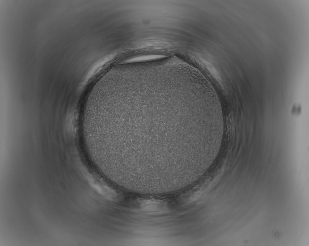 X0000091330400200708171355