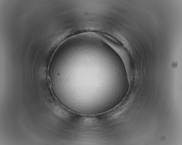 X0000091330401200708171355