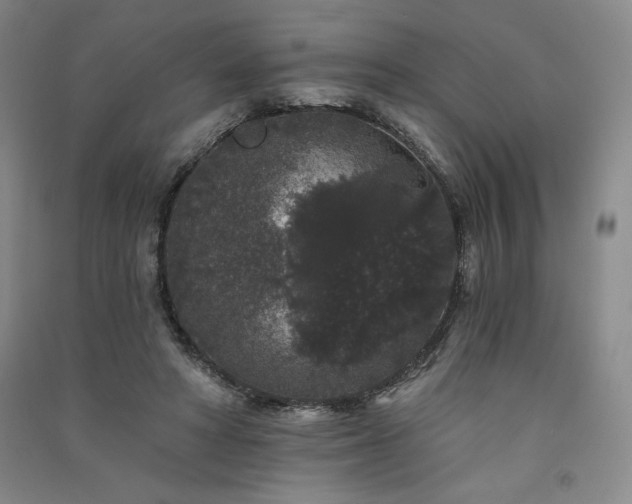 X0000091330402200708171355