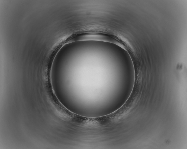 X0000091330403200708171355