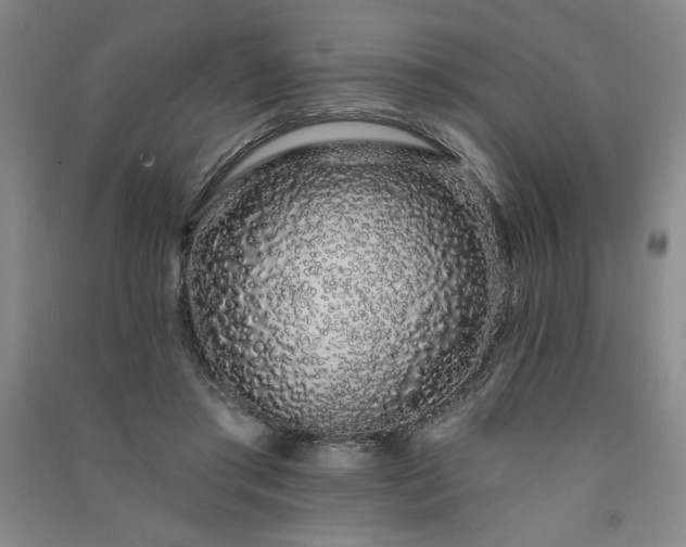 X0000091330405200708171355