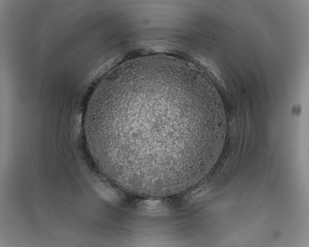 X0000091330406200708171355