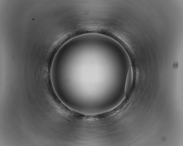 X0000091330407200708171355