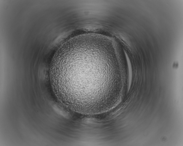 X0000091330408200708171355