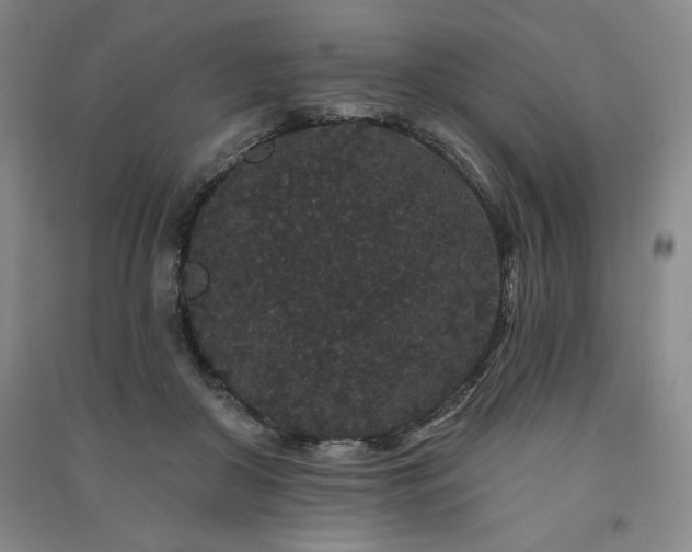 X0000091330410200708171355