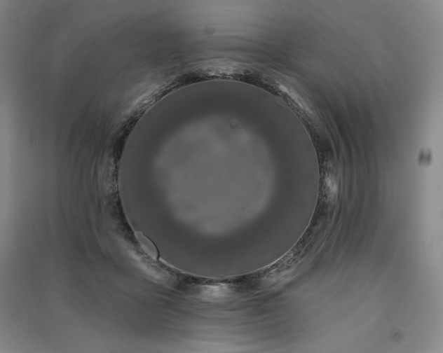 X0000091330411200708171355