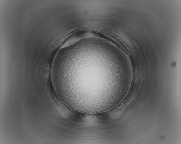 X0000091330413200708171355