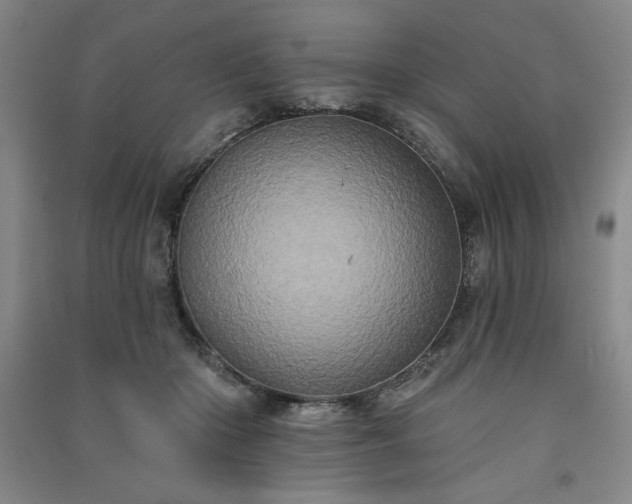 X0000091330414200708171355