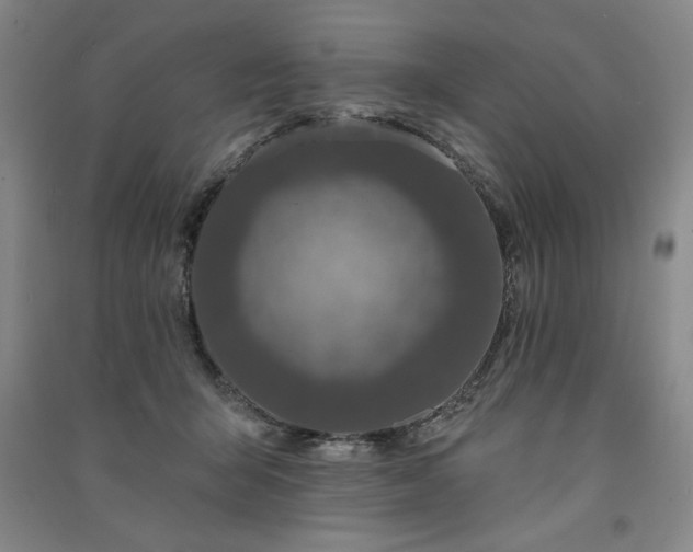 X0000091330415200708171355