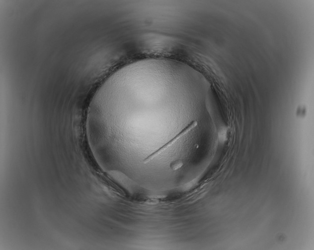 X0000091330416200708171355