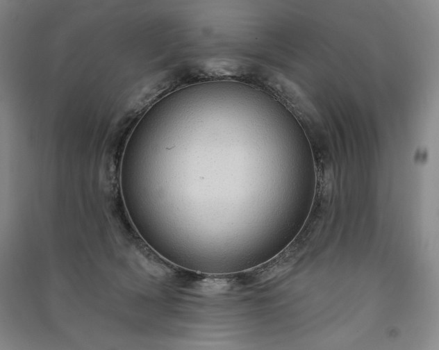 X0000091330418200708171355