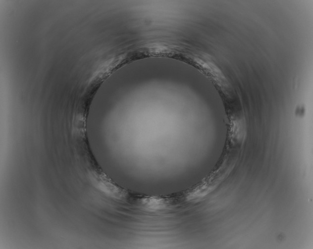 X0000091330419200708171355