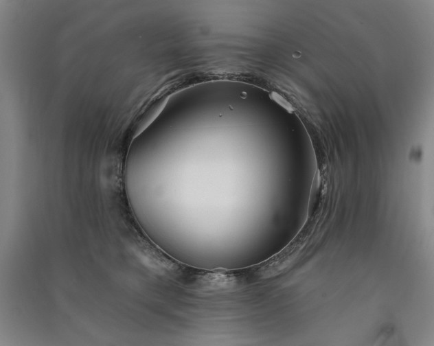 X0000091330421200708171355