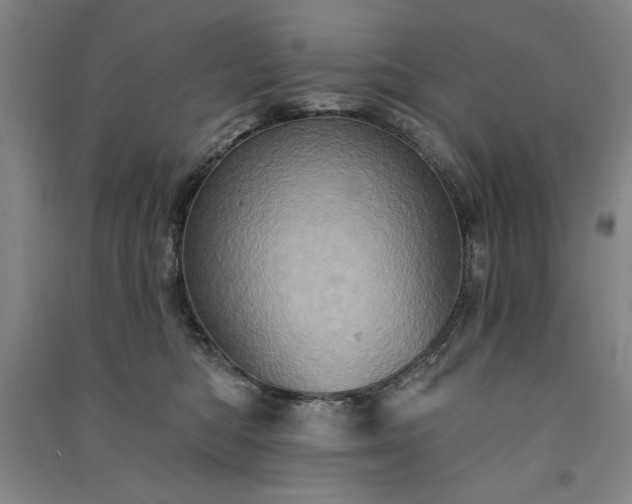 X0000091330422200708171355