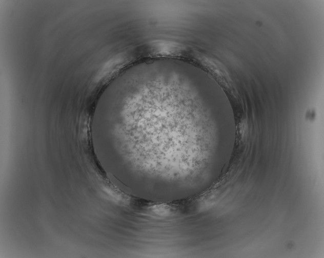 X0000091330423200708171355