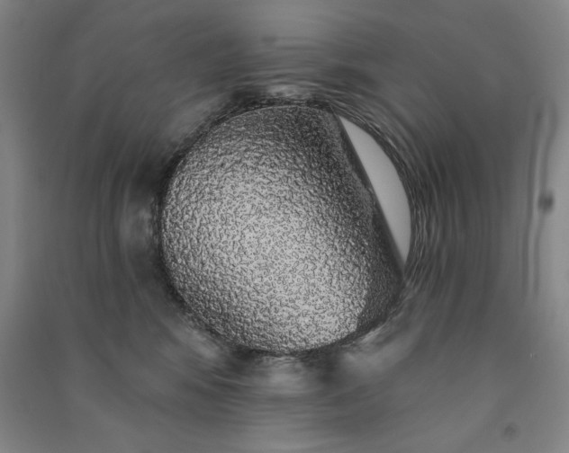 X0000091330424200708171355