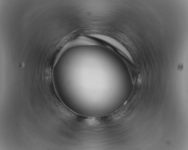 X0000091330425200708171355