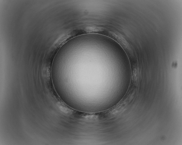 X0000091330426200708171355