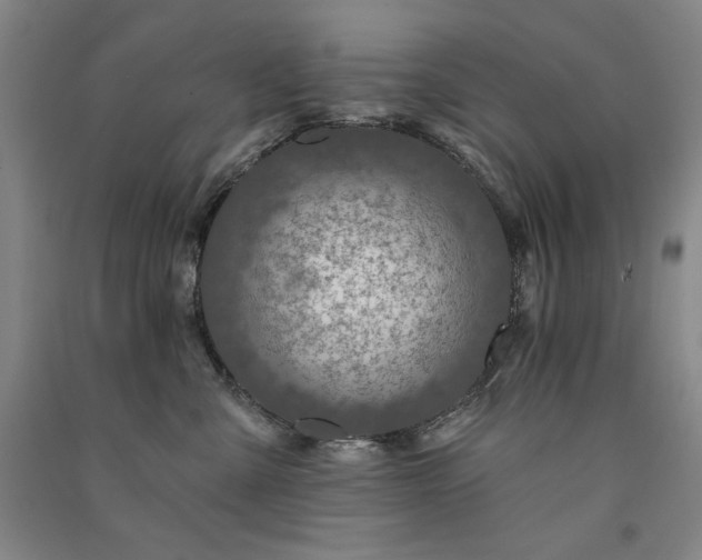 X0000091330427200708171355