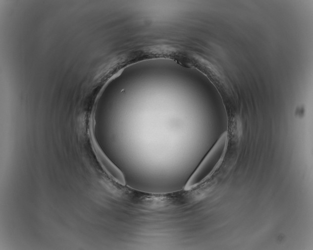 X0000091330428200708171355