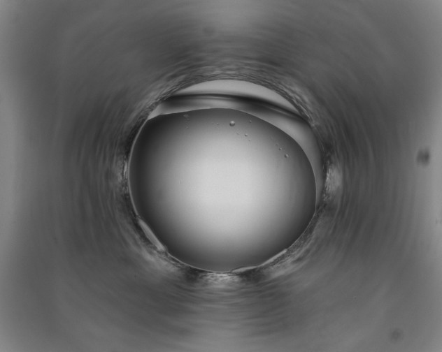 X0000091330429200708171355