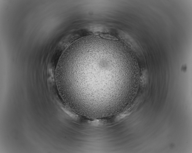 X0000091330430200708171355