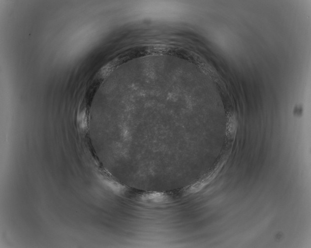 X0000091330431200708171355