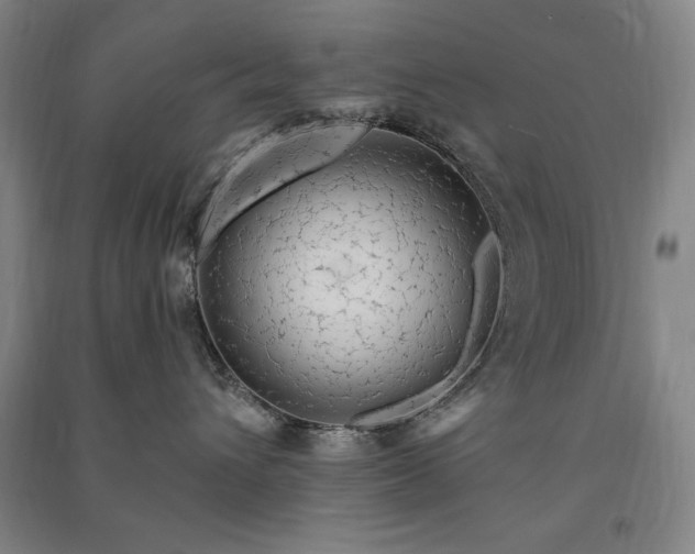 X0000091330432200708171355