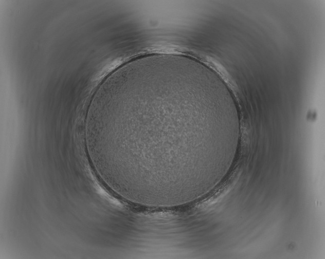 X0000091330433200708171354