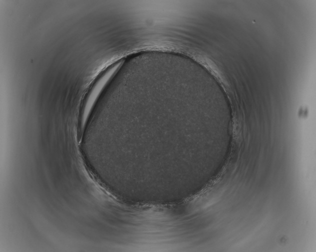 X0000091330434200708171354