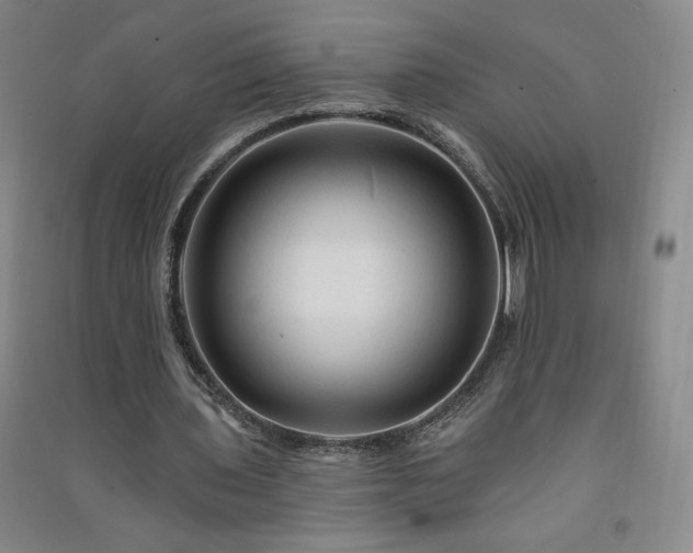 X0000091330435200708171354