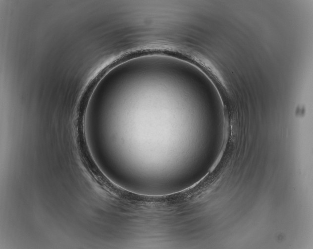 X0000091330436200708171354