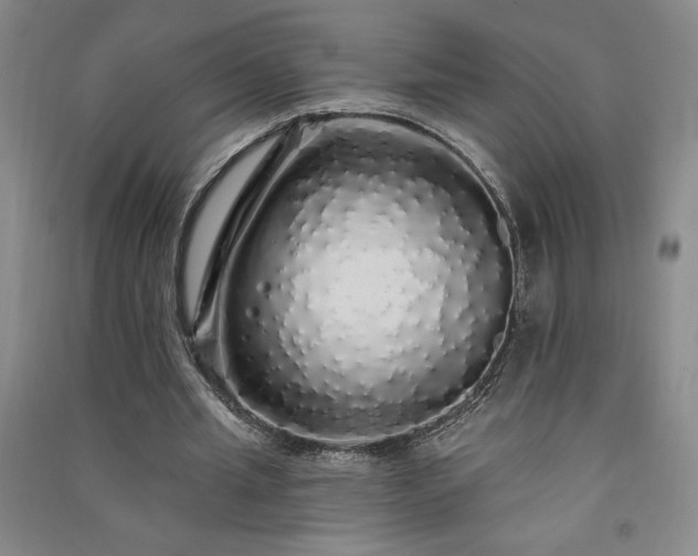 X0000091330437200708171354