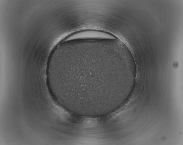 X0000091330438200708171354