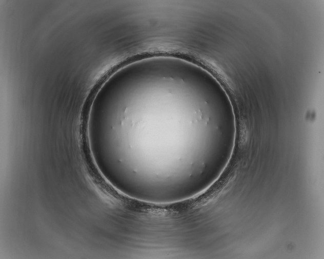 X0000091330439200708171354