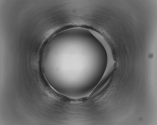 X0000091330440200708171354